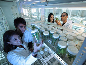 免费ddos平台攻击